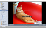 猫の顔は自動で認識できず。また、手動で顔を設定しても他の写真から抽出することはできなかった。の画像