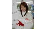 吉田千晃さんの画像