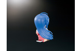 泉こなた背面の画像