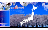 全国桜前線の画像