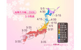 桜開花の時期の画像