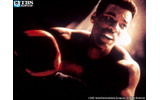 映画「アリ ALI」の画像
