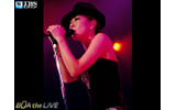 【BoA】THE LIVE “20th Birthday”の画像