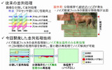 H.264エンコーダの並列処理技術の画像
