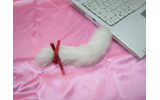 ネコのしっぽUSBメモリー（white）の画像
