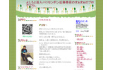 よしもと芸人ハリセンボン近藤春菜のまぁまぁのブログだね。の画像