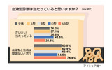 調査結果の画像