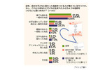 名前に関する意識調査の画像