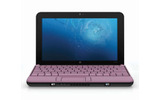 Pink Chicの画像