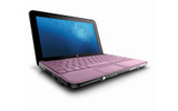 Pink Chicの画像