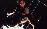 スナイパー (c)1996FILMLINE INTERNATIONAL [ALGONQUIN INC/ALGONQUIN PRODUCTIONS LIMITED All Righits Reserved.の画像