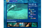コミュファ光水族館「ベルーガプール」の画像