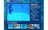 コミュファ光水族館「イルカプール」の画像