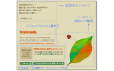 メールソフトで受信したメッセージ画面（イメージ）の画像