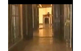 拡大した映像の画像
