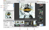 ファイルブラウザ「Adobe Bridge」の画像