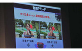 「動画Pモード」の画像