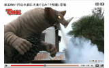 巨大着ぐるみ「で怪獣」の画像