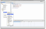 「Adobe Flash Builder for Force.com」コードビュー画面の画像