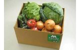 モスの野菜 定番セット（例）の画像