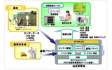 農業ICT化ソリューションのサービスイメージの画像