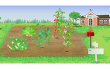 バーチャル農園コミュニティiplantの画像