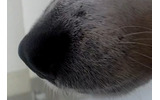 HD 720pの画像