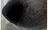 HD 1080pの画像