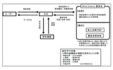 脳科学に基づく検証フローの画像