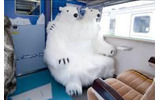 ホッキョクグマにだっこされて記念撮影も?の画像