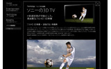サイト内の3Dテレビの解説の画像