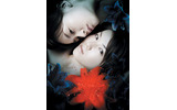 内山理名、水川あさみ主演映画「深紅」の画像