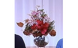 録画番組がアナログになるのはツライの画像