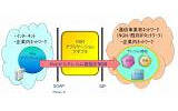 「NGNアプリケーションアダプタ」の概念図の画像