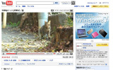 　YouTubeは、動画の表示形式に変更を加えている。すでに昨年には1080pの対応へアナウンスを行っていたYouTubeだが、対応動画の一部には1080pを選択する項目が追加表示されていた。の画像