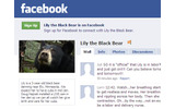 Facebook　リリーのプロフィールページの画像