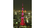 2004年のライトアップの模様、ピンク色に東京タワーの画像
