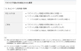 「ホワイト学割with家族2010」概要の画像