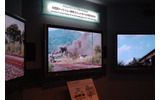 早稲田大学との共同研究による高臨場空間システム。65V型の液晶テレビを360度に6台並べるの画像
