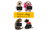 bijin-dogの画像