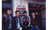 THE BLUE HEARTSの画像