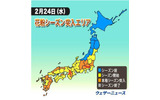 東京都と大阪府、本格花粉シーズンに突入!!の画像