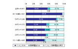 年代別アクセス端末の画像