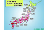 桜開花予想の画像