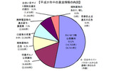 2009年中の違法情報の内訳の画像