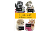bijin-catの画像