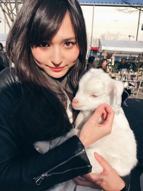 ニュース画像