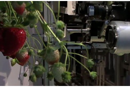 【第4回 ロボット大賞】イチゴの熟度を自動判定し収穫するイチゴ収穫ロボット