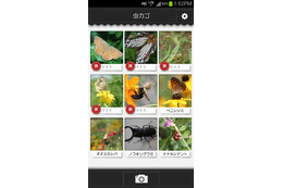 虫の写真を撮るだけで名前や特徴がわかる?!……Androidアプリ『虫判定器』