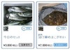 「漁業者が、船上から携帯でネット出品」12時間以内に食卓へ。Twitterで漁獲つぶやきも ～ 東部漁協夕市会